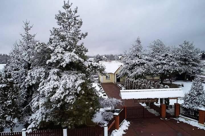 Agroturystyka Barycz 46 Konskie المظهر الخارجي الصورة